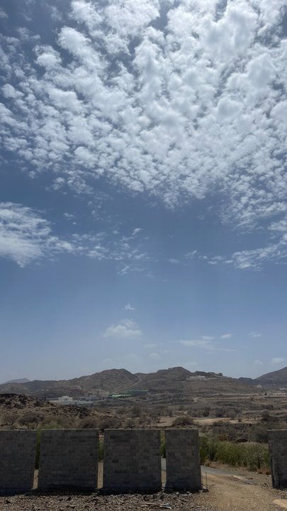 مشاركاتي في أنت الراصد