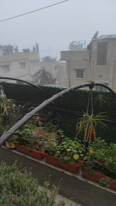 مشاركاتي في أنت الراصد