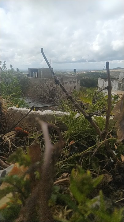 Mes publications Crowdsourcing