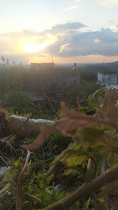 Mes publications Crowdsourcing