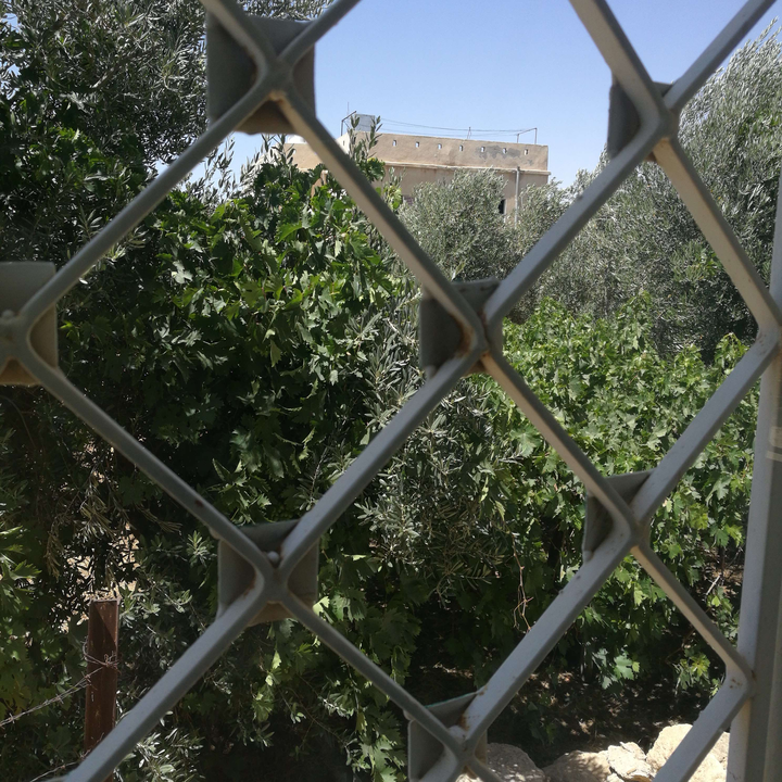 My Crowdsourcing Posts