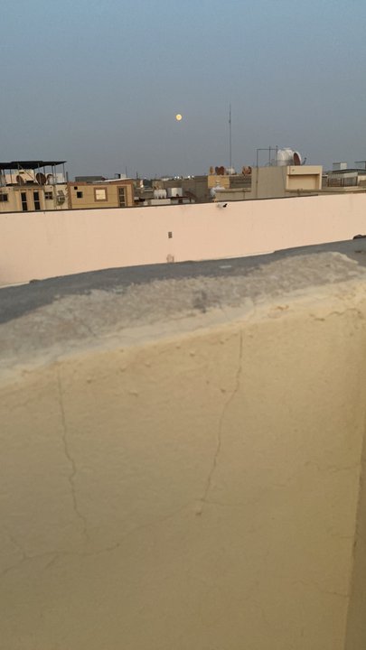 مشاركاتي في أنت الراصد