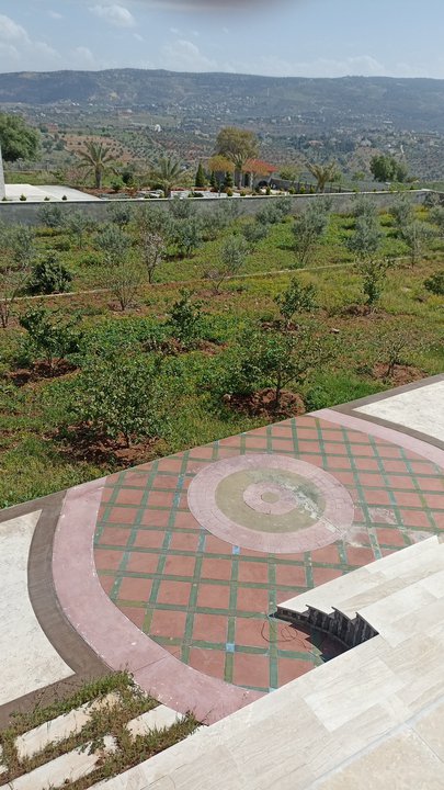 مشاركاتي في أنت الراصد