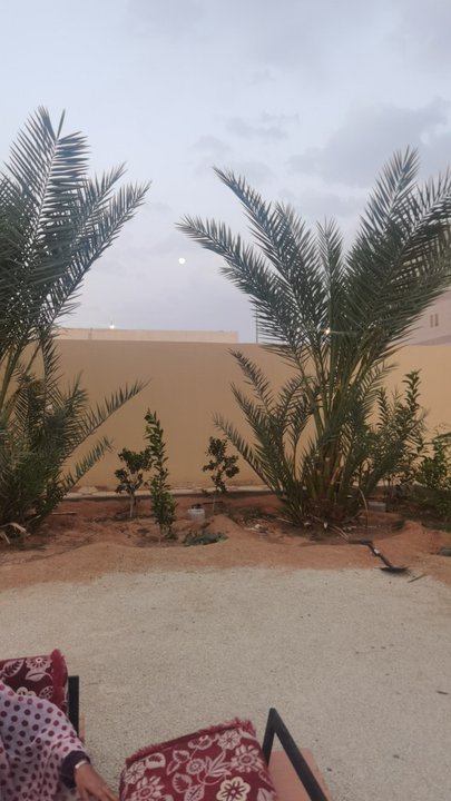 مشاركاتي في أنت الراصد