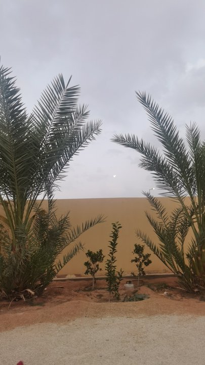 مشاركاتي في أنت الراصد