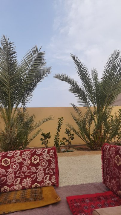 مشاركاتي في أنت الراصد