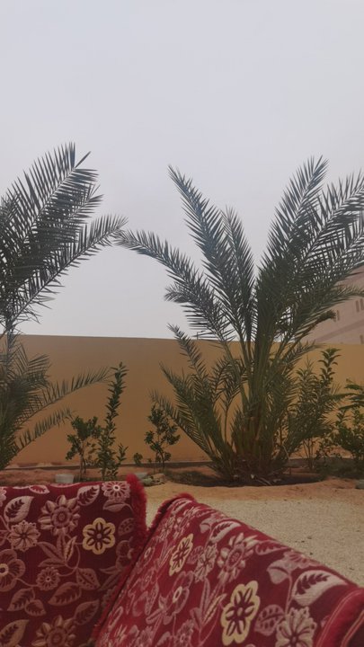 مشاركاتي في أنت الراصد