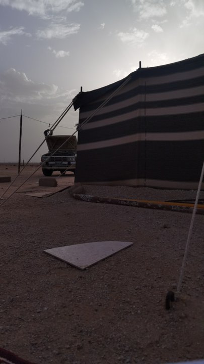 مشاركاتي في أنت الراصد