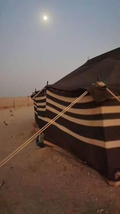 مشاركاتي في أنت الراصد