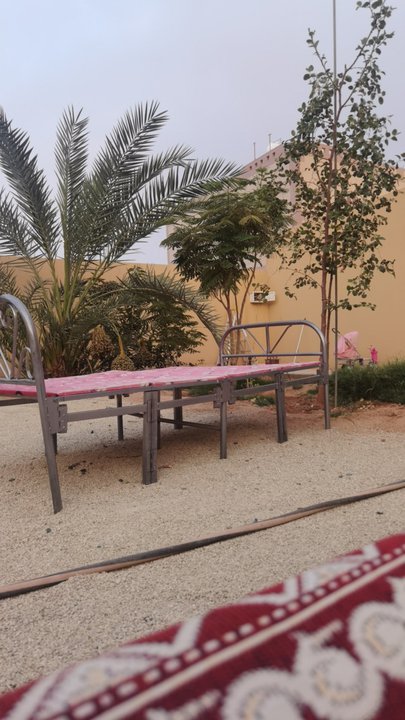 مشاركاتي في أنت الراصد