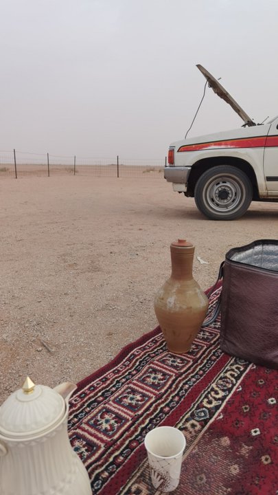 مشاركاتي في أنت الراصد