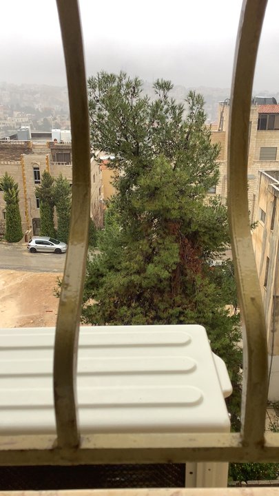 مشاركاتي في أنت الراصد