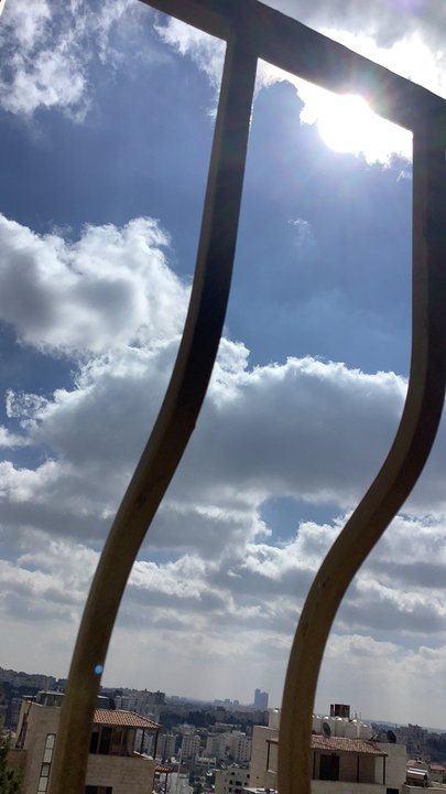 مشاركاتي في أنت الراصد