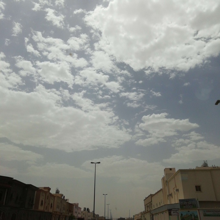 مشاركاتي في أنت الراصد