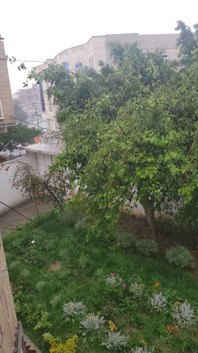 مشاركاتي في أنت الراصد