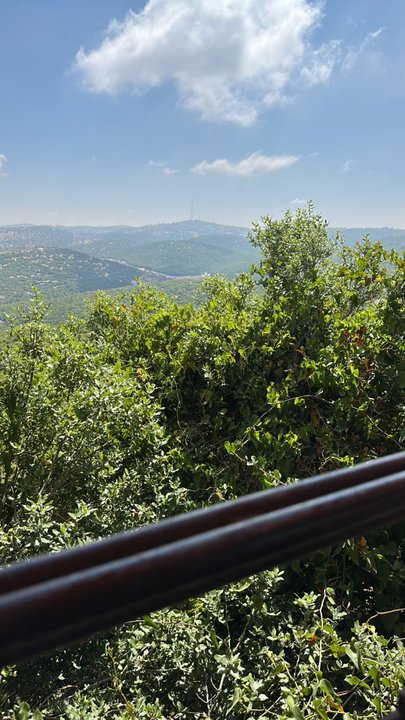 مشاركاتي في أنت الراصد