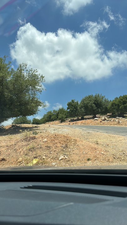 مشاركاتي في أنت الراصد