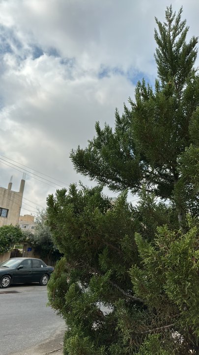 مشاركاتي في أنت الراصد