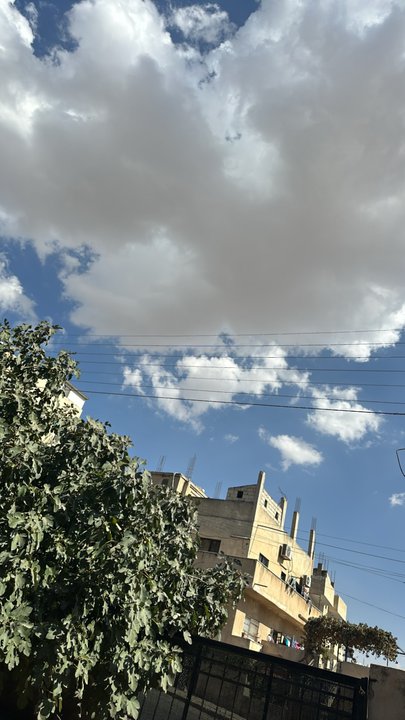 مشاركاتي في أنت الراصد