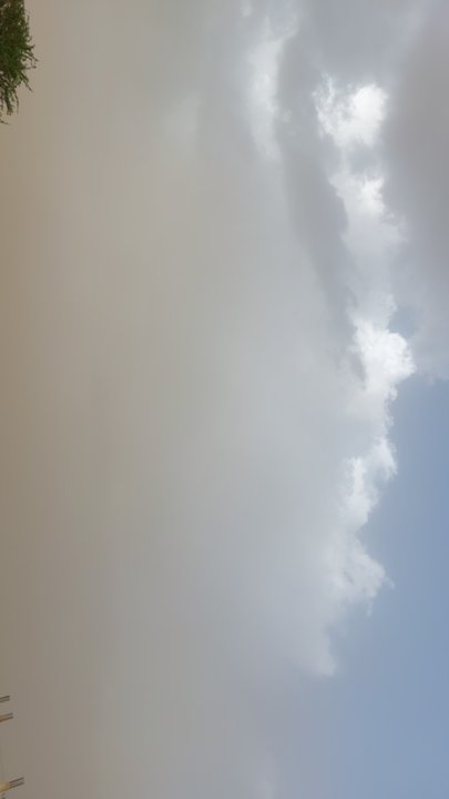 مشاركاتي في أنت الراصد