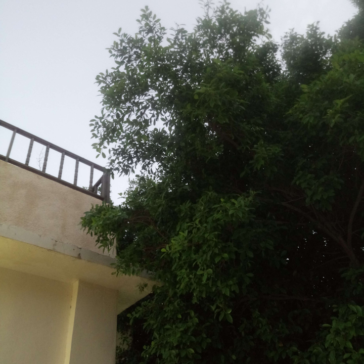 My Crowdsourcing Posts