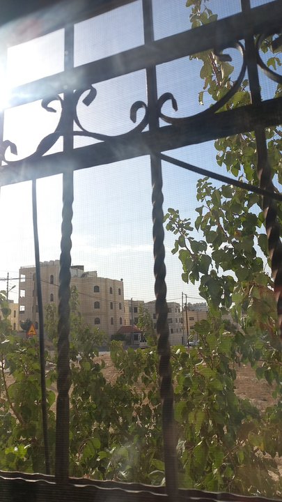 مشاركاتي في أنت الراصد