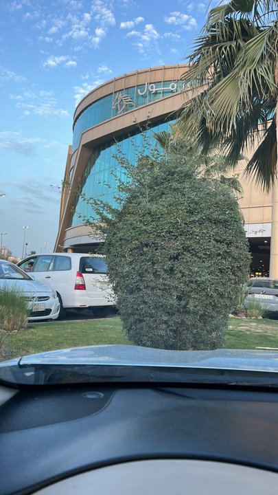 مشاركاتي في أنت الراصد