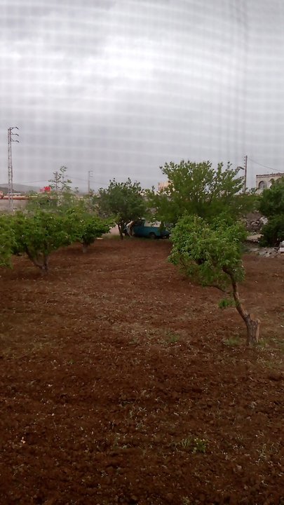 مشاركاتي في أنت الراصد