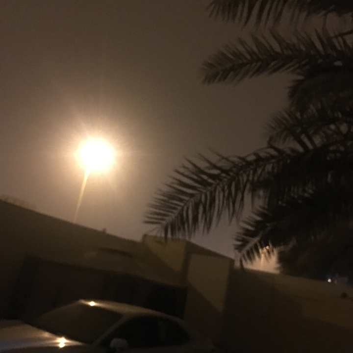 مشاركاتي في أنت الراصد