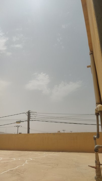 مشاركاتي في أنت الراصد