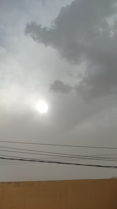 مشاركاتي في أنت الراصد