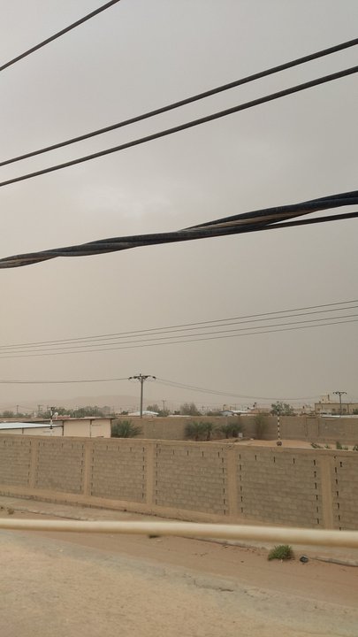 مشاركاتي في أنت الراصد