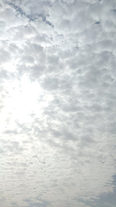 مشاركاتي في أنت الراصد