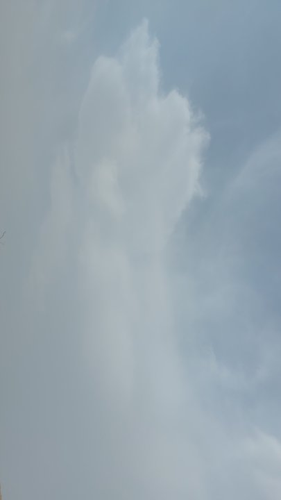 مشاركاتي في أنت الراصد