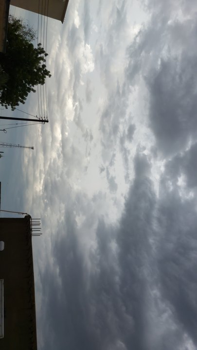 مشاركاتي في أنت الراصد