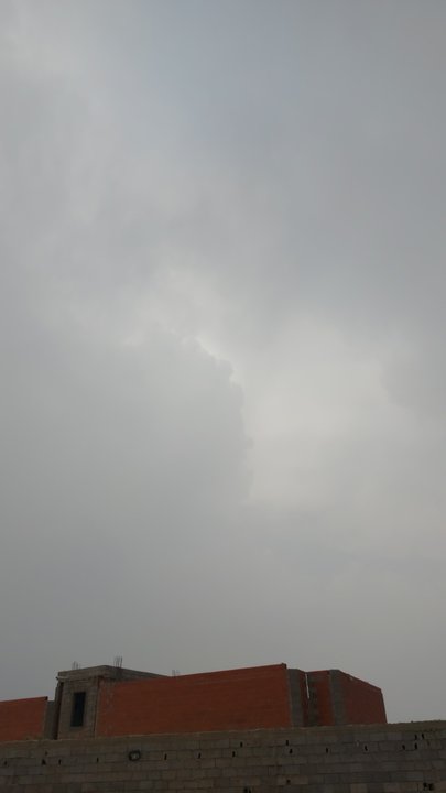 مشاركاتي في أنت الراصد