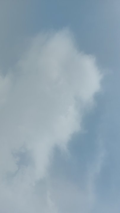 مشاركاتي في أنت الراصد