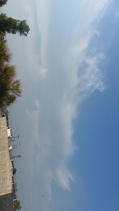 Mes publications Crowdsourcing