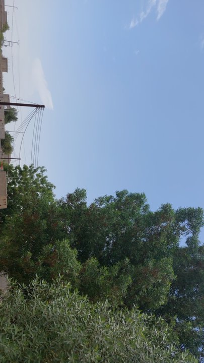 مشاركاتي في أنت الراصد