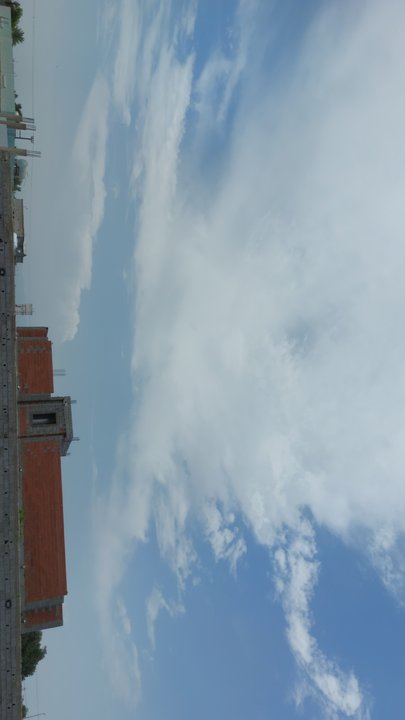 مشاركاتي في أنت الراصد