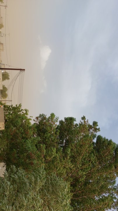 مشاركاتي في أنت الراصد