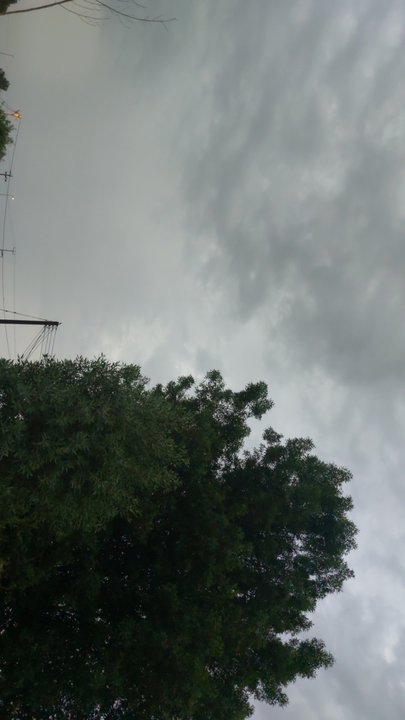 مشاركاتي في أنت الراصد