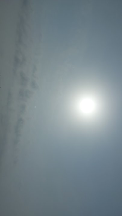 مشاركاتي في أنت الراصد