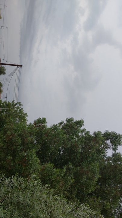 مشاركاتي في أنت الراصد