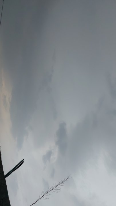 مشاركاتي في أنت الراصد