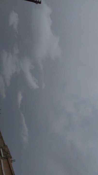 مشاركاتي في أنت الراصد