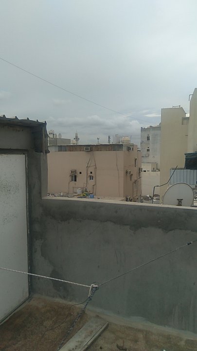 مشاركاتي في أنت الراصد