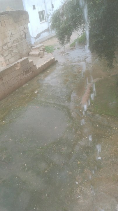 مشاركاتي في أنت الراصد