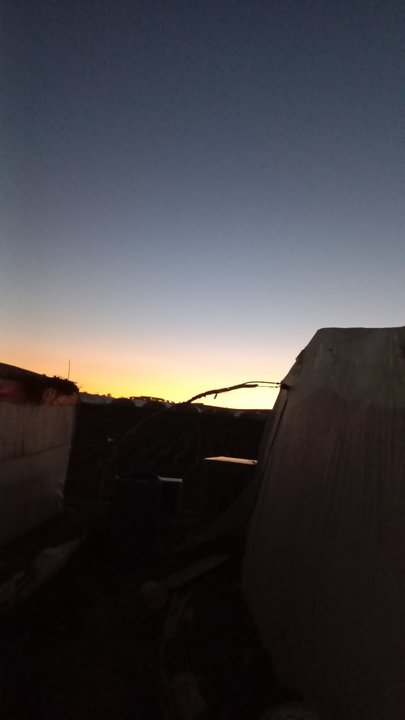 مشاركاتي في أنت الراصد