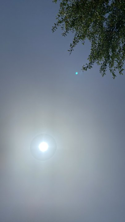 مشاركاتي في أنت الراصد